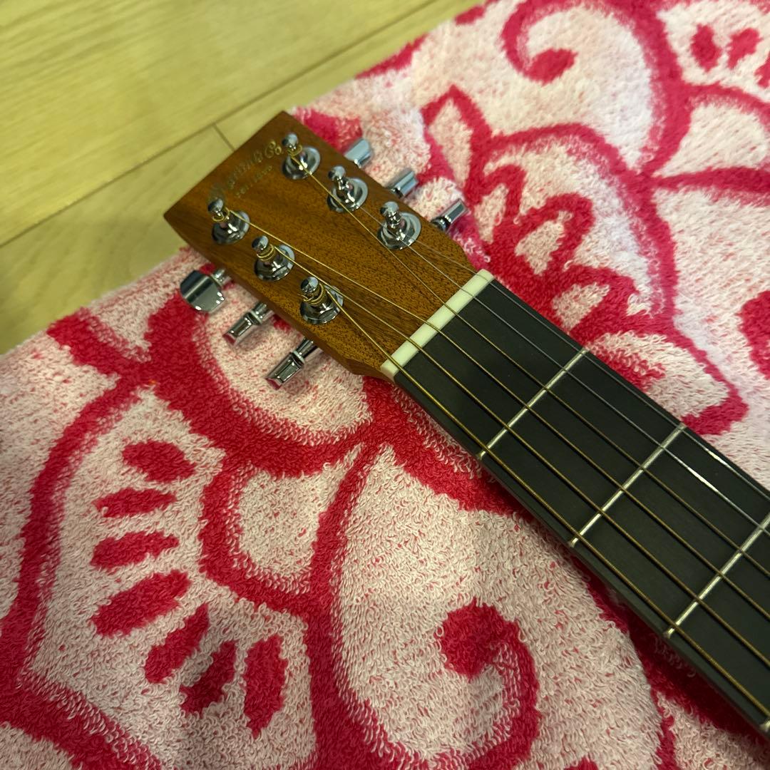 Martin Backpackar ギター