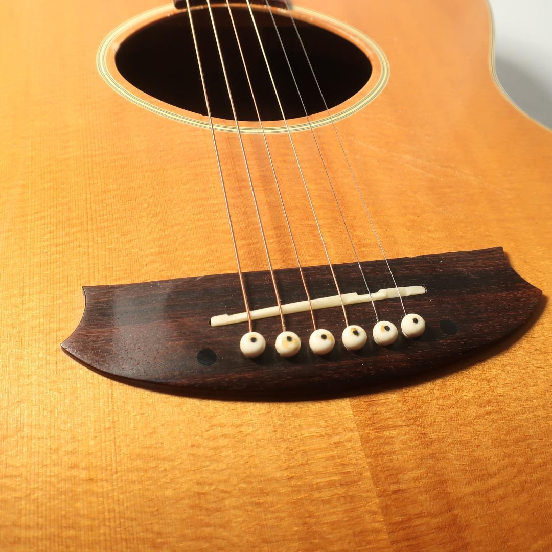 Epiphone GRANADA ギター セミハードケース付 トップ単板