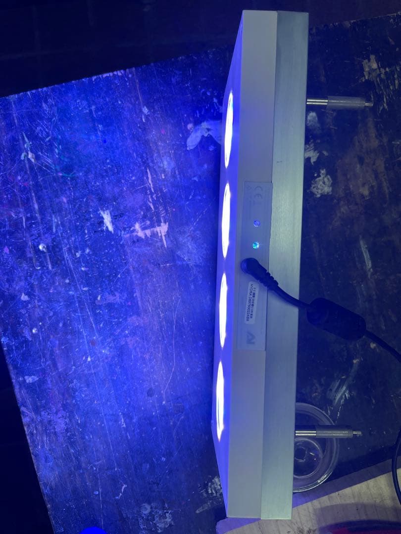 海水魚用品 AI HYDRA HD 52