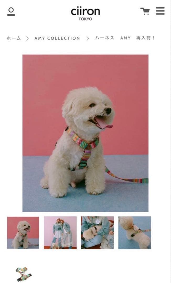 ciiron tokyo AMYハーネス Mサイズ