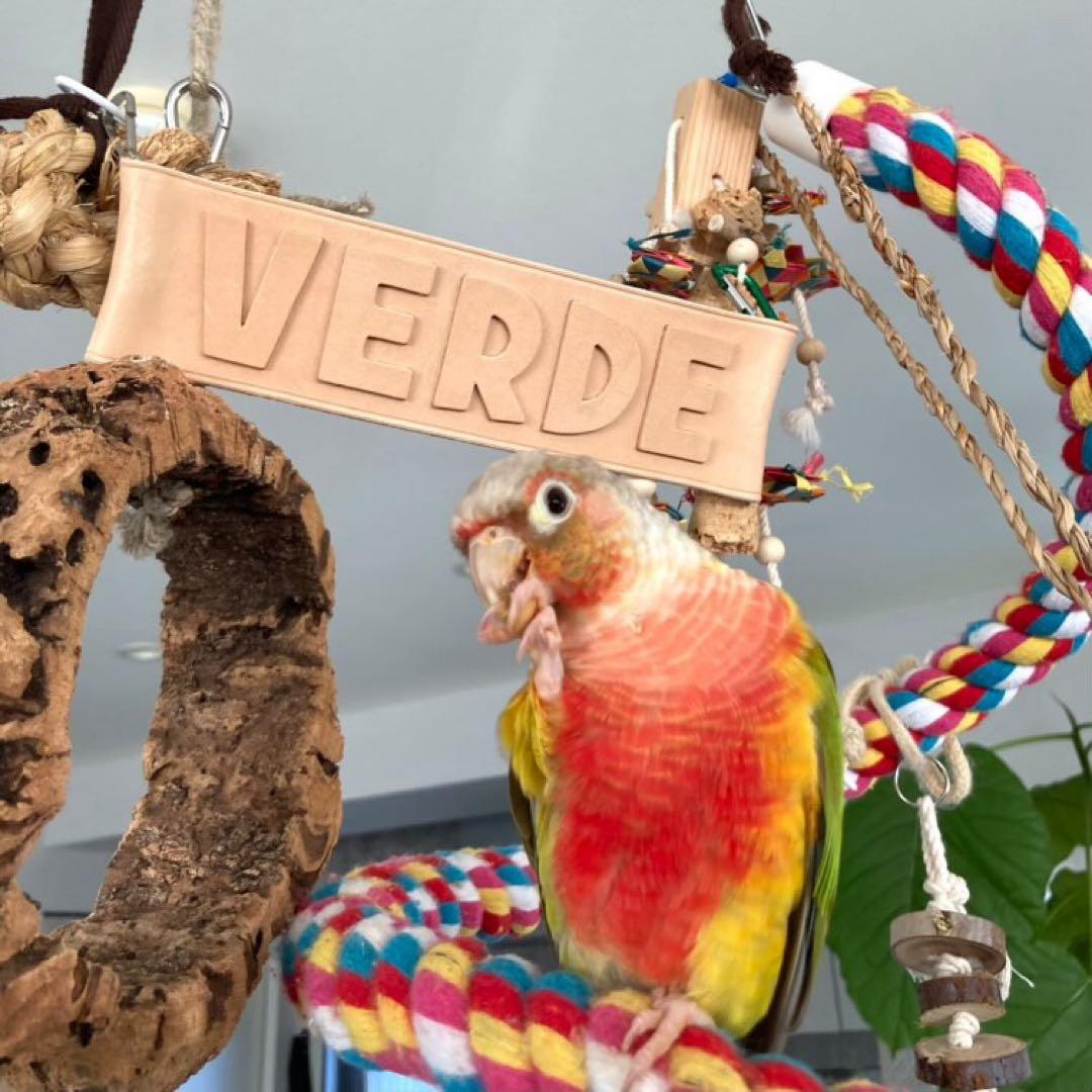 牛本革レザー【大きいネームプレート】オーダー受付ページ♡ネームタグ♡ペット鳥犬猫