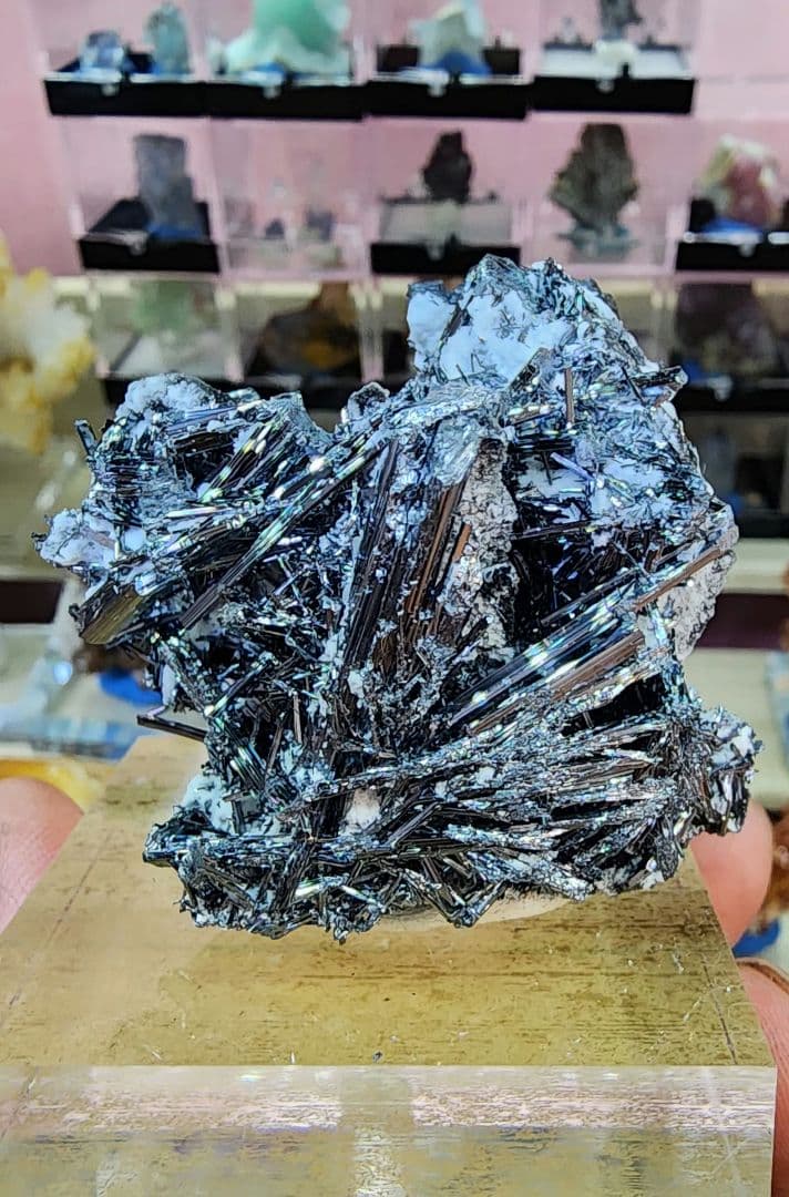 スティブナイト