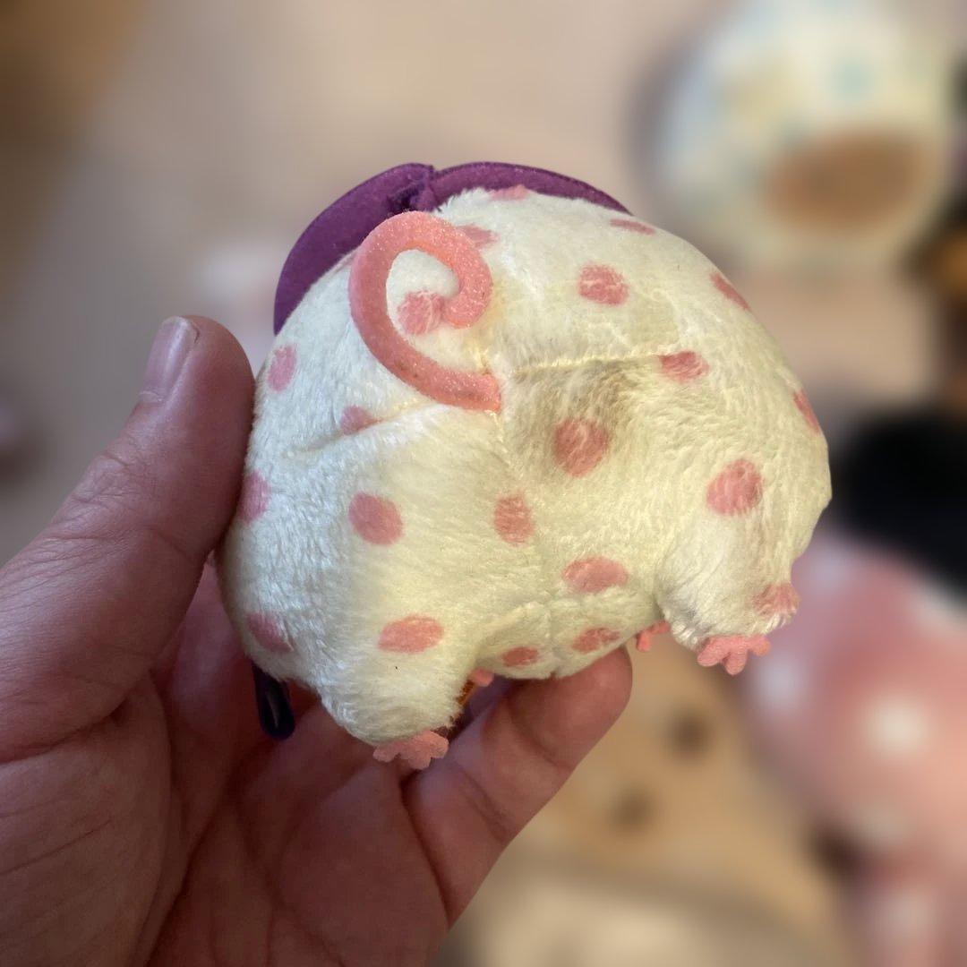 2017年　センチメンタルサーカス　スペシャルハロウィンセット