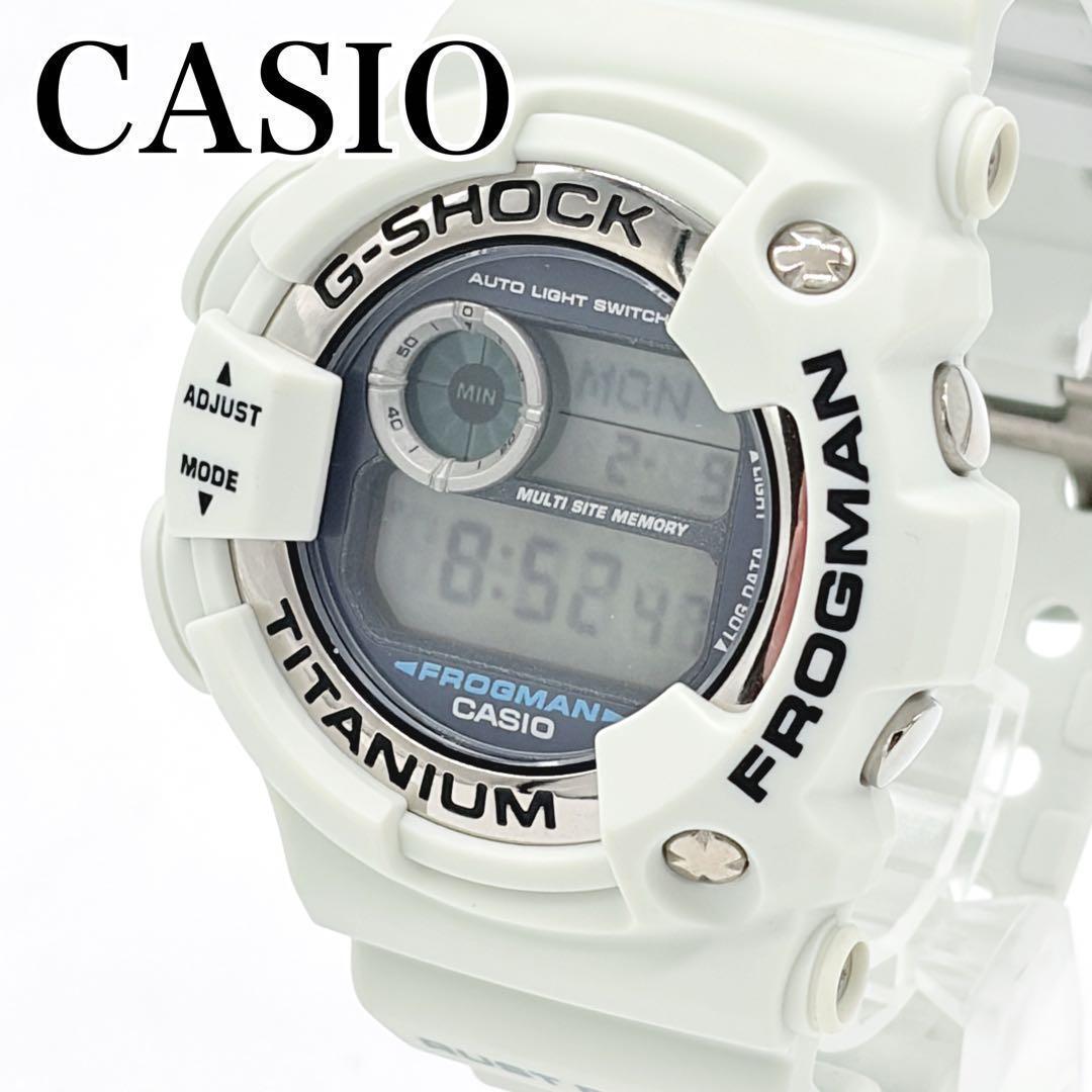 希少 CASIO G-SHOCK フロッグマン DW-9900 ホワイト チタン