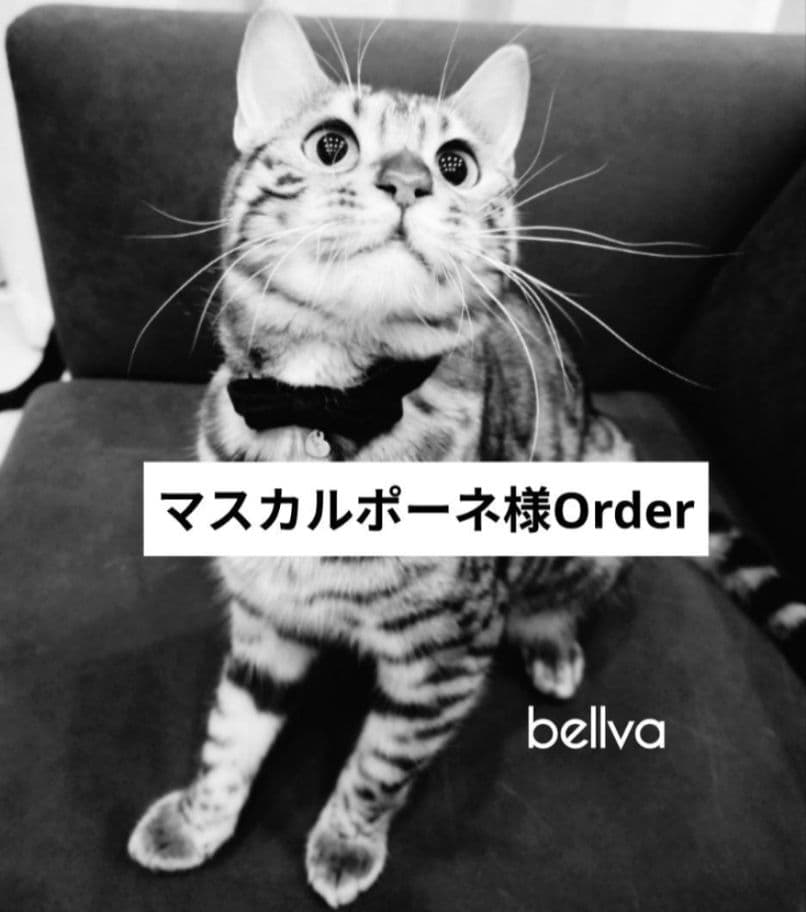 マスカルポーネ様Order