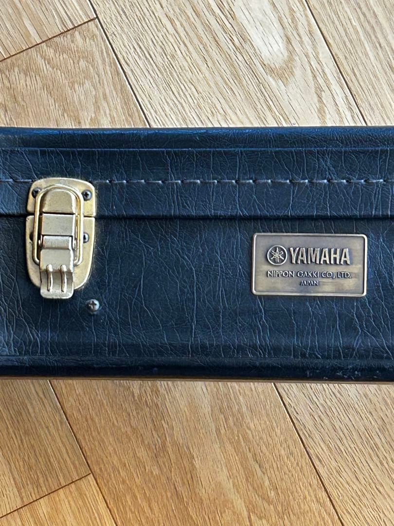 YAMAHA1981SG2000 1981年600本限定カラーディープパープル