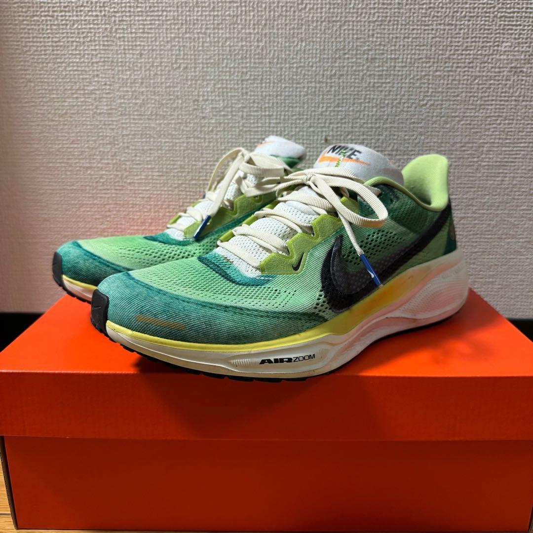 限定値下げ NIKE AIR ZOOM PEGASUS 41 SE 26.5cm
