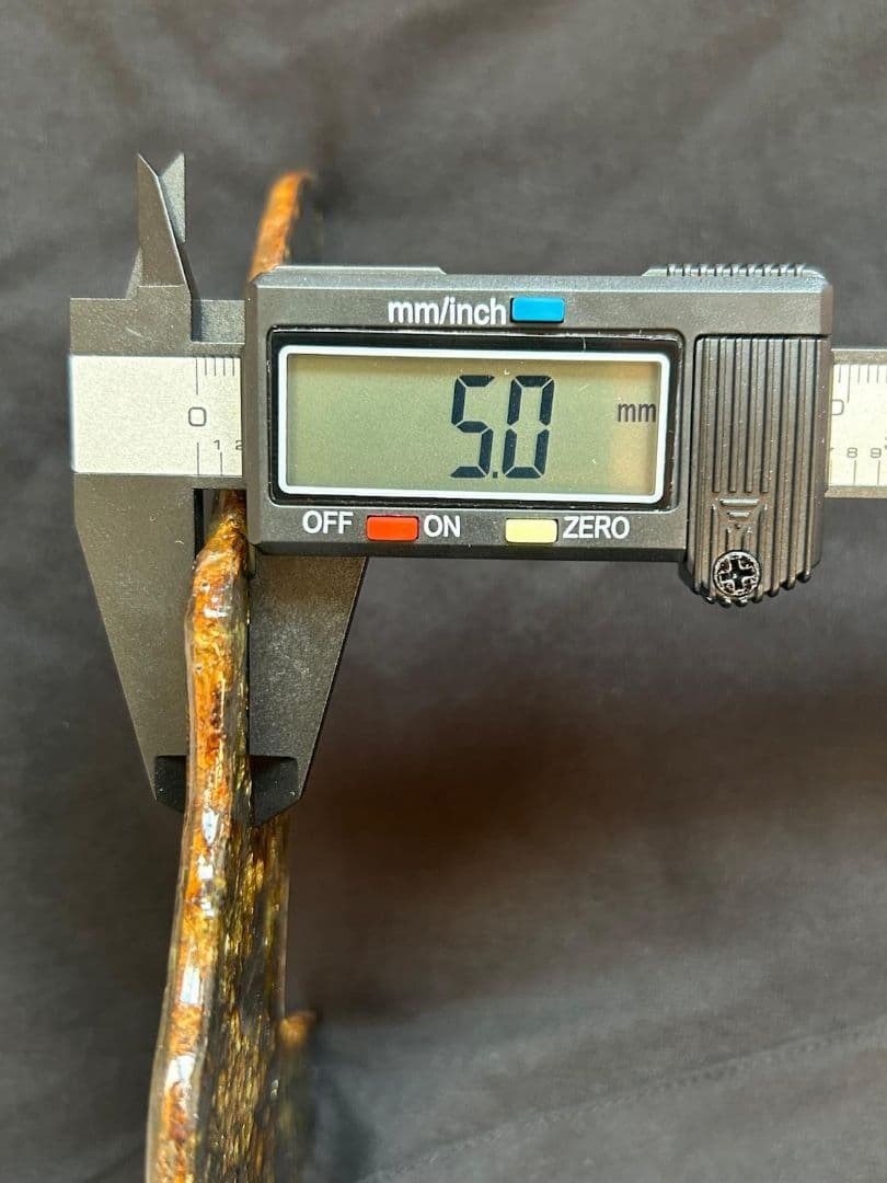 セイムチャン・パラサイト隕石119.00gロシア産クレッシェンド型