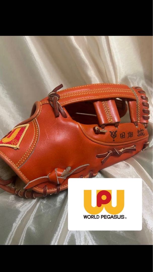 ワールドペガサス グローブ