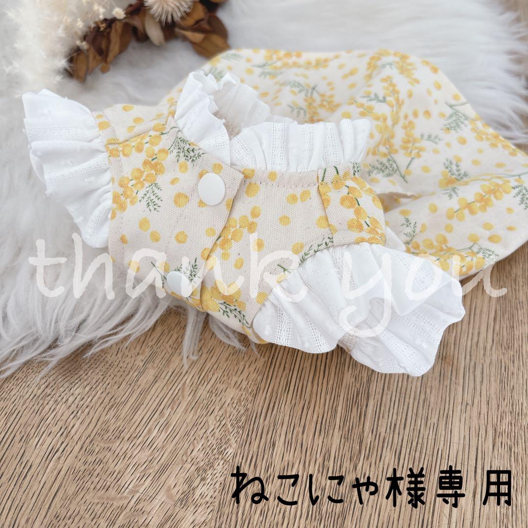 ねこにゃ　プロフィール必読