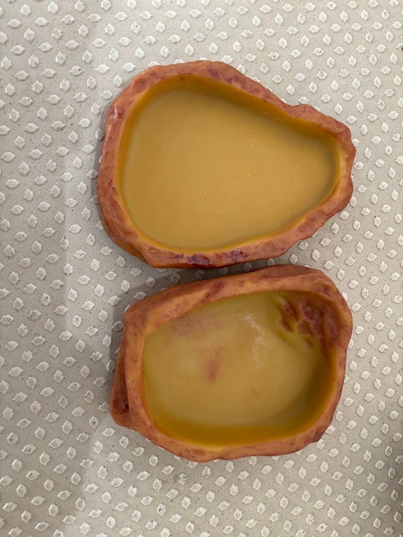 GEX EXOTERRA フトアゴヒゲトカゲ&リクガメ飼育キット送料込