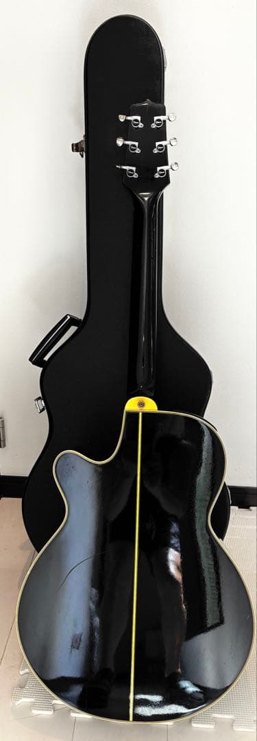 タカミネ　エレアコ　PT106