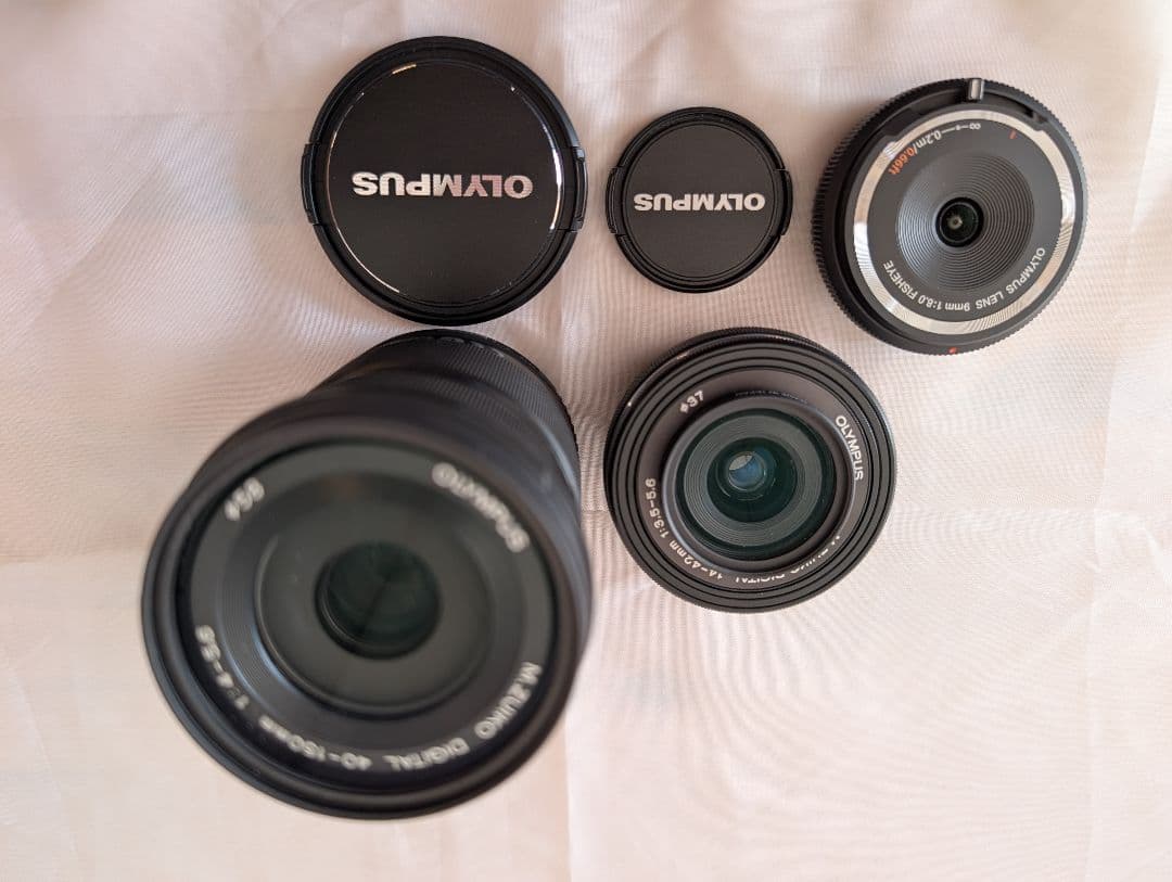 OLYMPUS OM-D E-M10 Wズームレンズキット