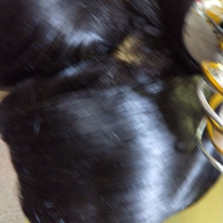 伝統的日本髪DD