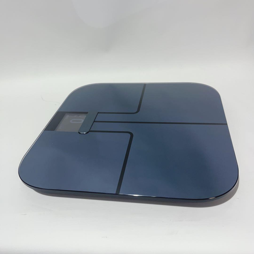 美品　GARMIN Index S2 Black