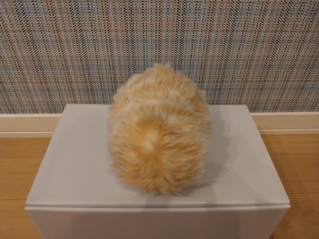 専用 中古モフリン（2ヶ月使用）