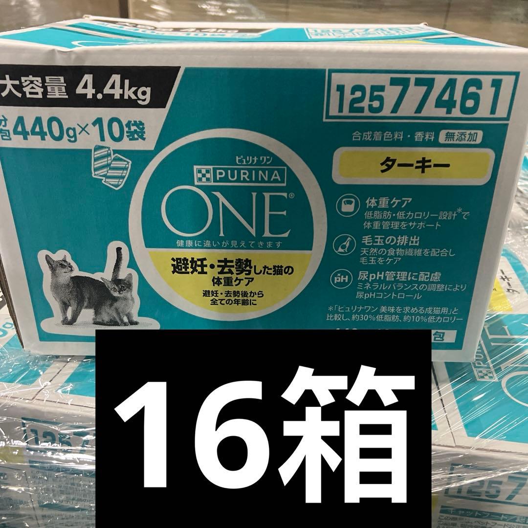 16箱ピュリナ ワン キャットフード ターキー4.4kg賞味期限：2026.02