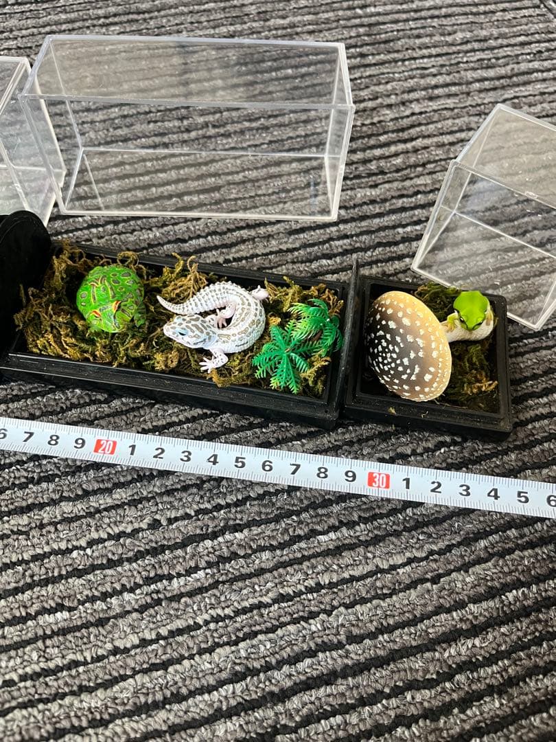 爬虫類　両生類　コレクション