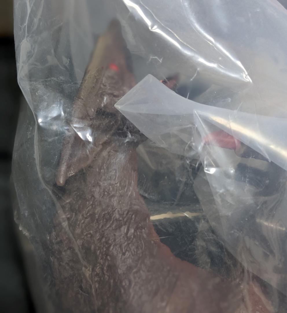 平成ガメラ＆ギャオス（ロケット）新品未開封ソフビフィギュア３体セット