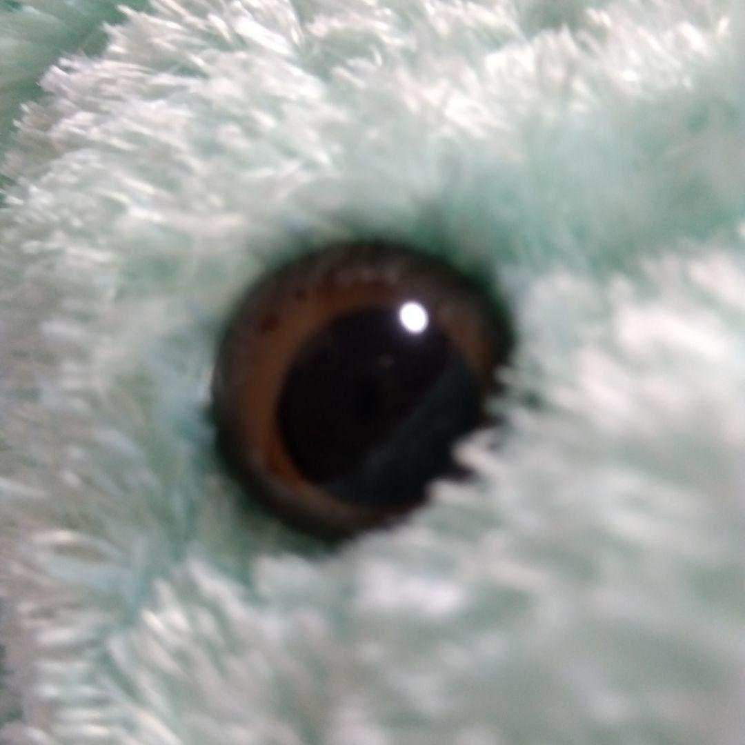 WDW ミント　ダッフィー　☆希少☆