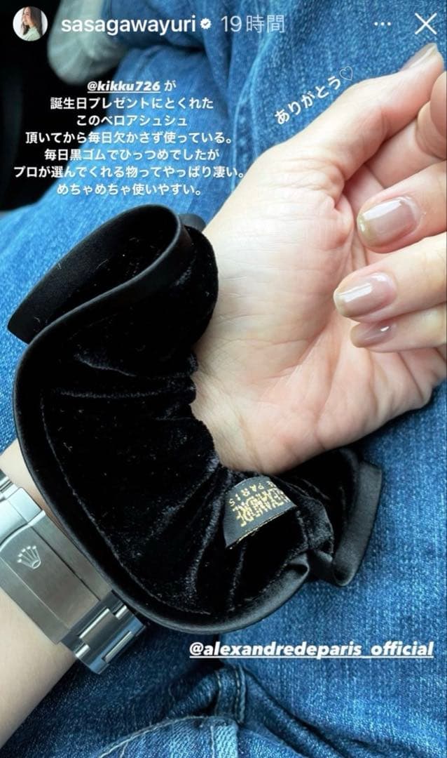 新品未使用　ALEXANDRE DE PARIS シュシュ　ベロア　ブラック