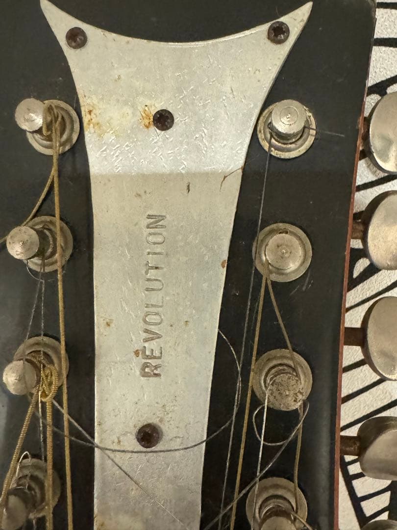 カスタマイズ アコースティックギター Eko Ranger XII