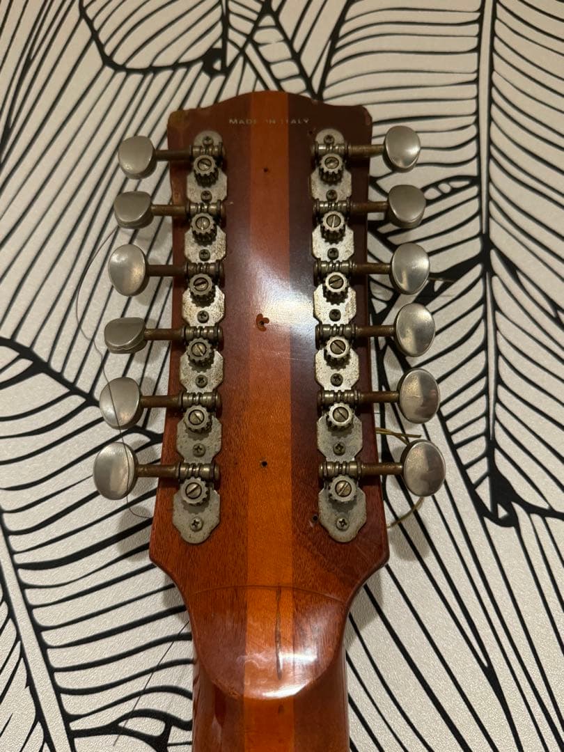 カスタマイズ アコースティックギター Eko Ranger XII