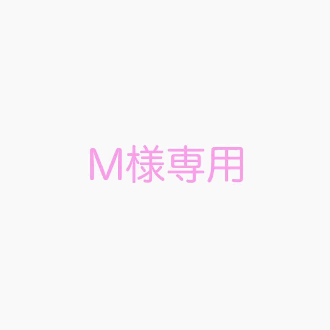 その他 M