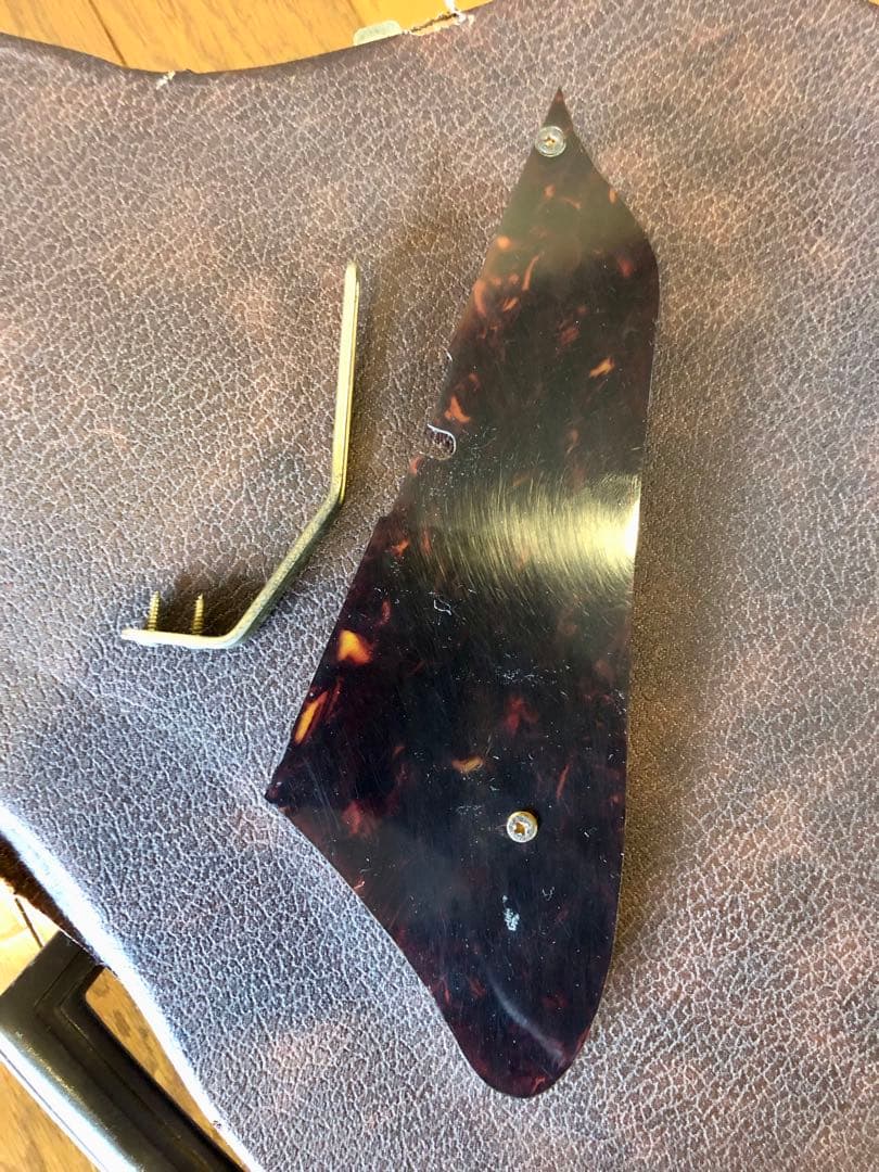 アイバニーズ　Ibanez JP20