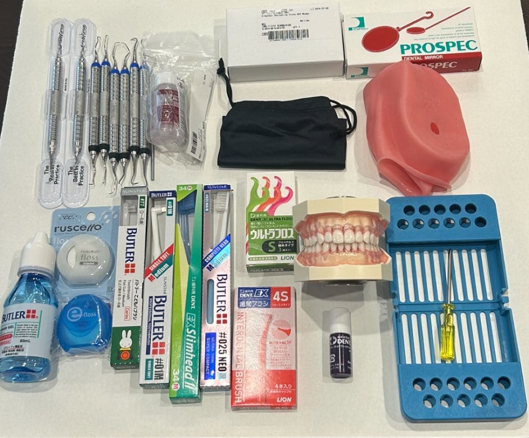 歯科衛生士 ニッシン 歯科衛生士セット 実習用模型　顎模型付き