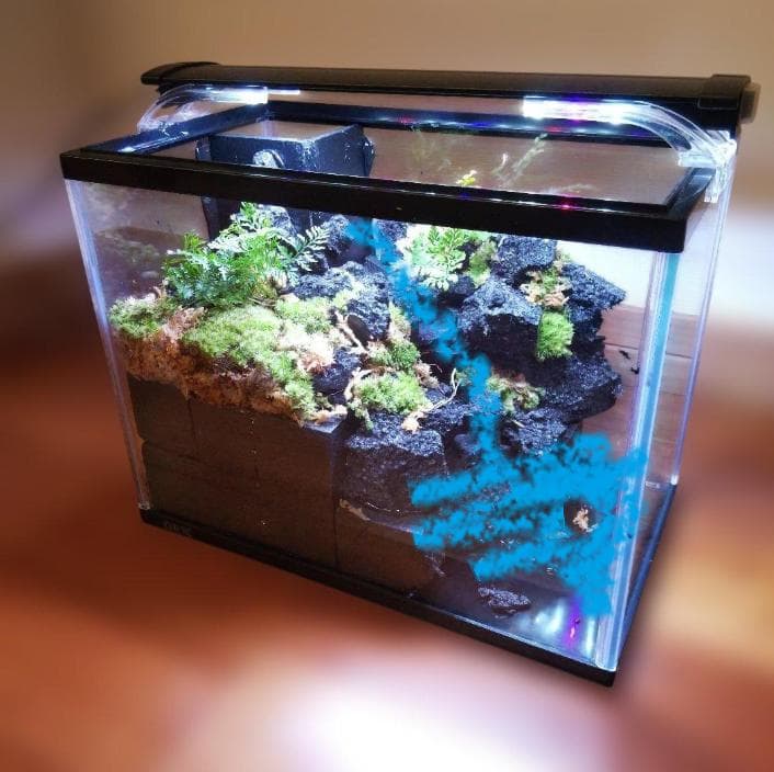 【受注生産】滝の流れるアクアテラリウム　イモリウム　苔　水槽　苔テラリウム