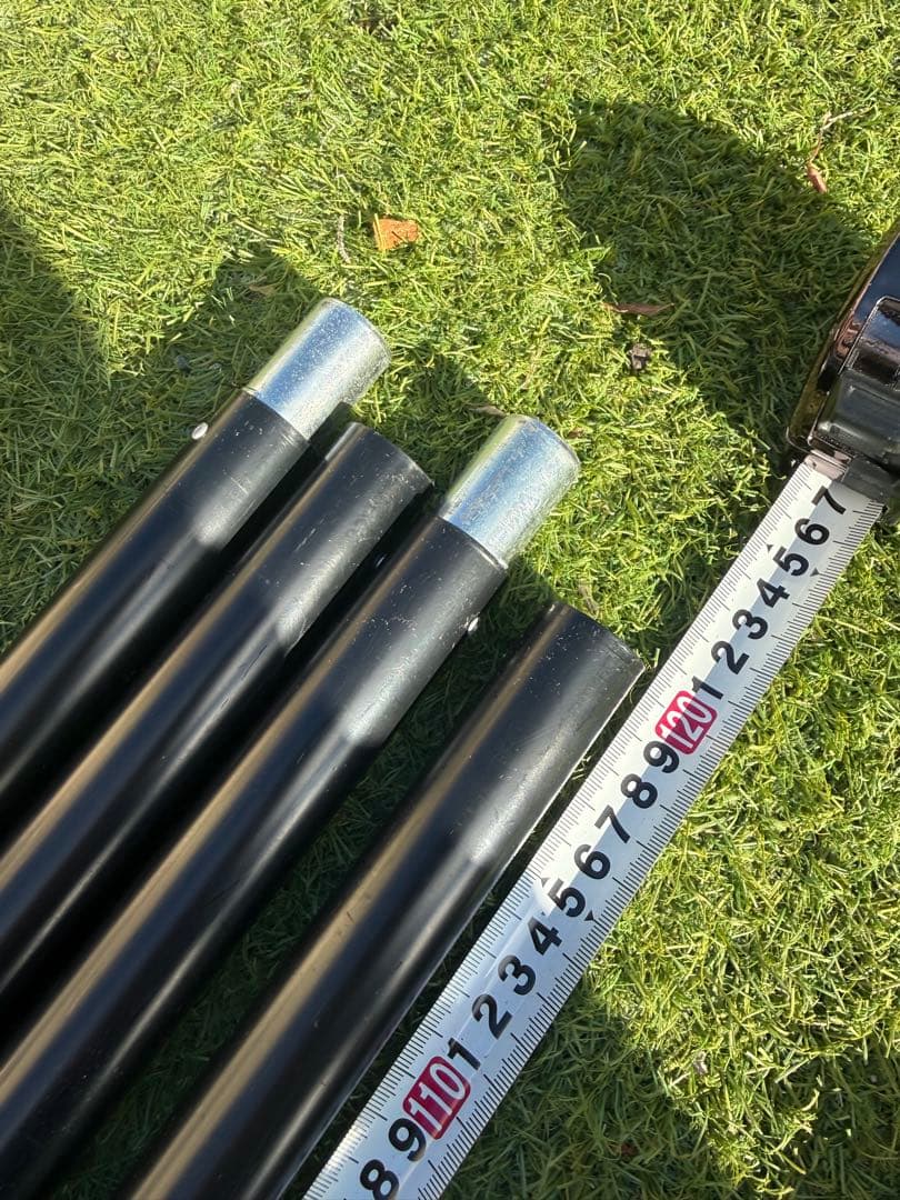 モニグロ　二股ポール　モーニンググローリーtc