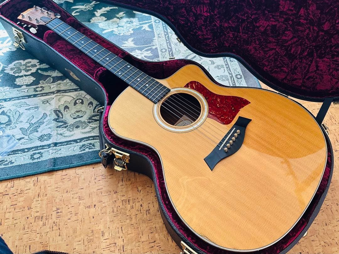 Taylor 214ce Fall-LTD エレアコ