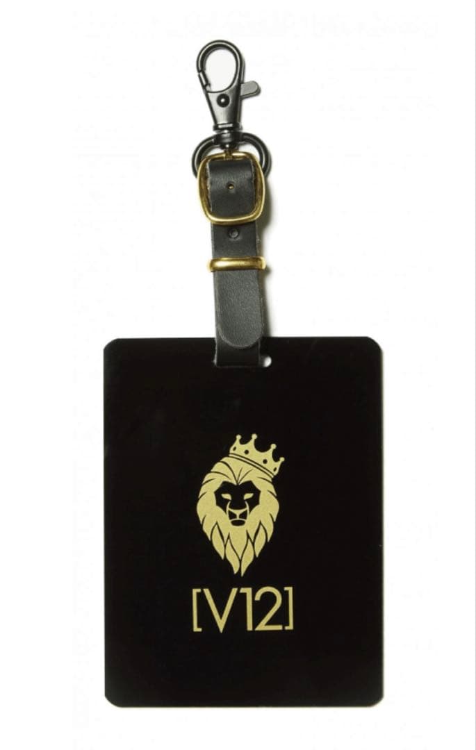 V12 着せ替えキャディバッグ本体