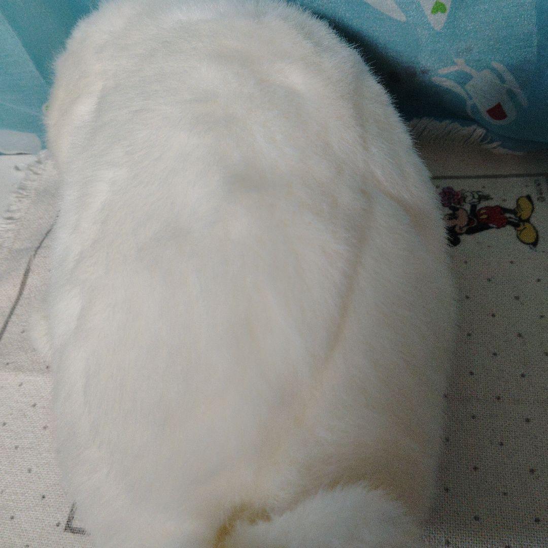 やまね工房 あざらし ぬいぐるみ