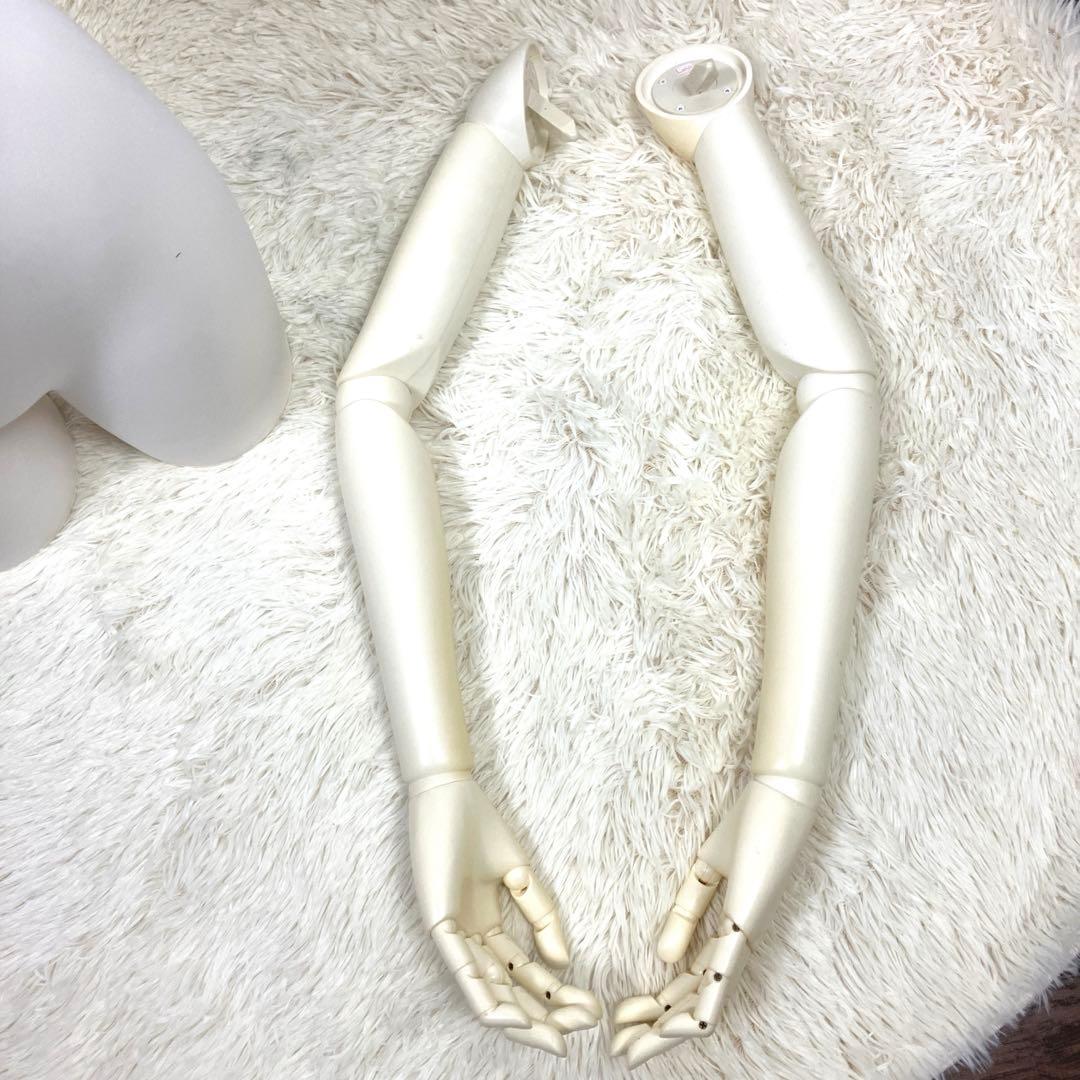 む*み様 関節可動式の腕付き トルソー マネキン ボディ 女性型