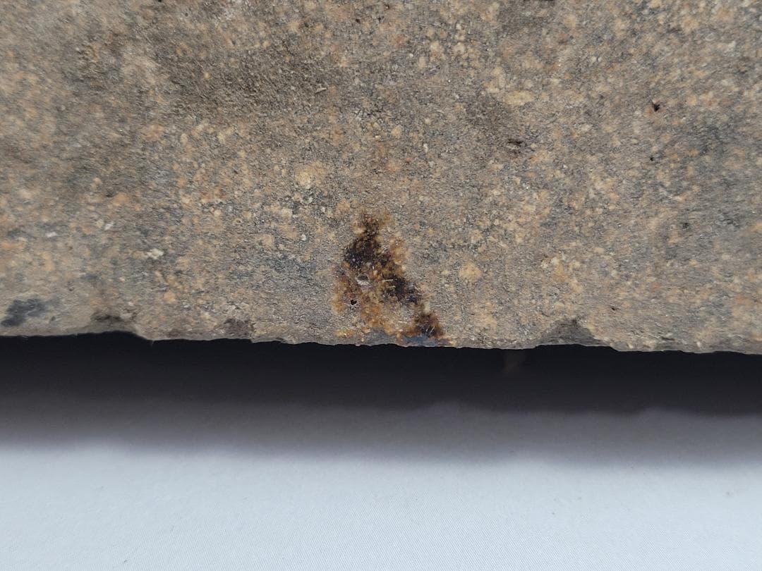 黑釉 神獣型 文鎮 元明時代 幅約23.1cm