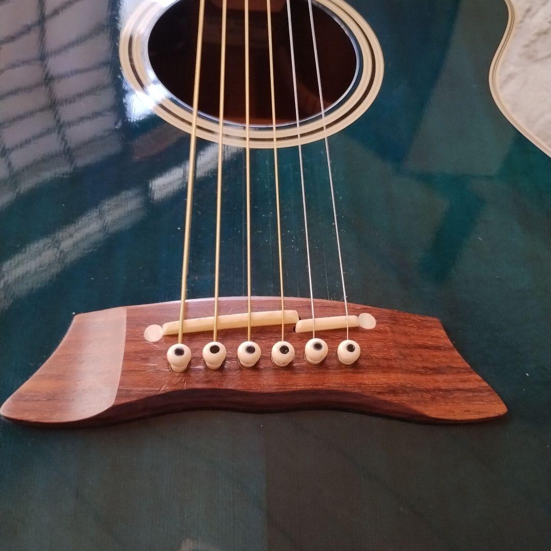 Takamine エレアコ PT106 ダークグリーン ハードケース付き！