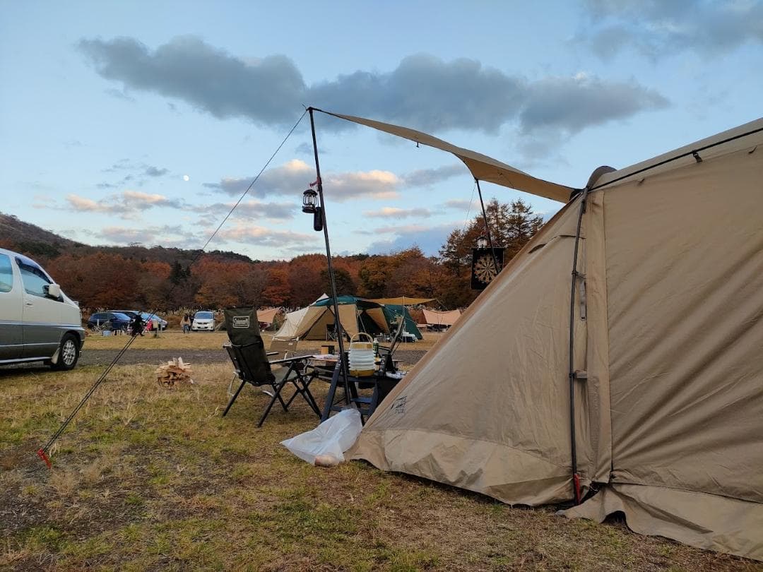 【1回のみ使用美品】サバティカル　アルニカ