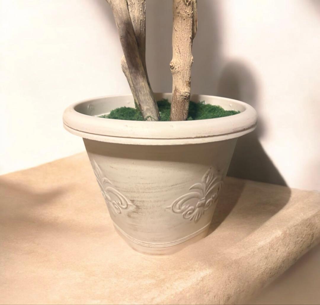 光触媒　人工観葉植物　ウォールグリーン　フェイクグリーン　コーヒーの木12162