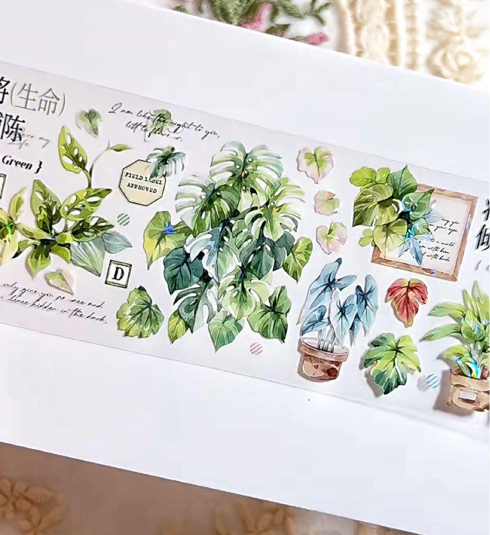 【9467】海外　マステ　3/5/巻　貝殻光マスキングテープ　植物　緑　装飾系