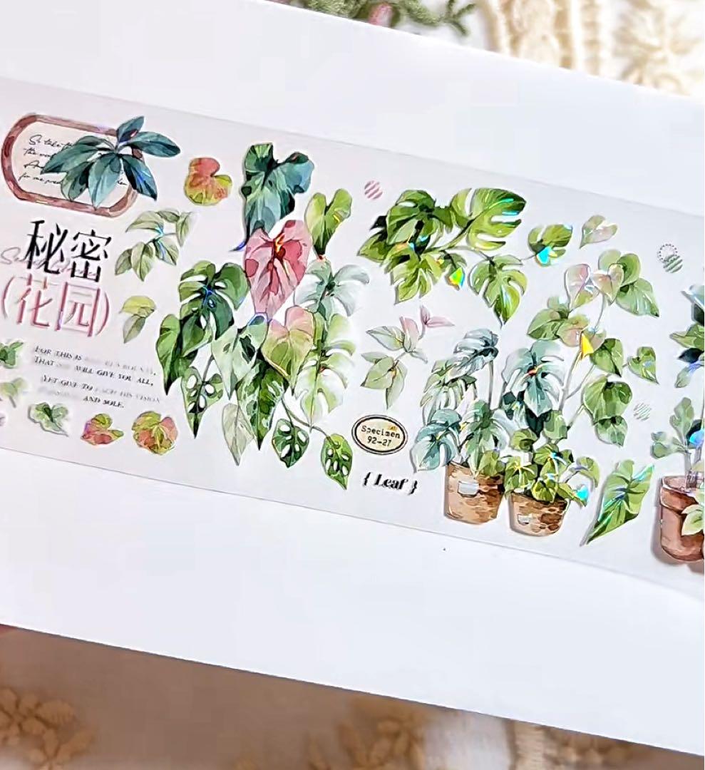 【9467】海外　マステ　3/5/巻　貝殻光マスキングテープ　植物　緑　装飾系