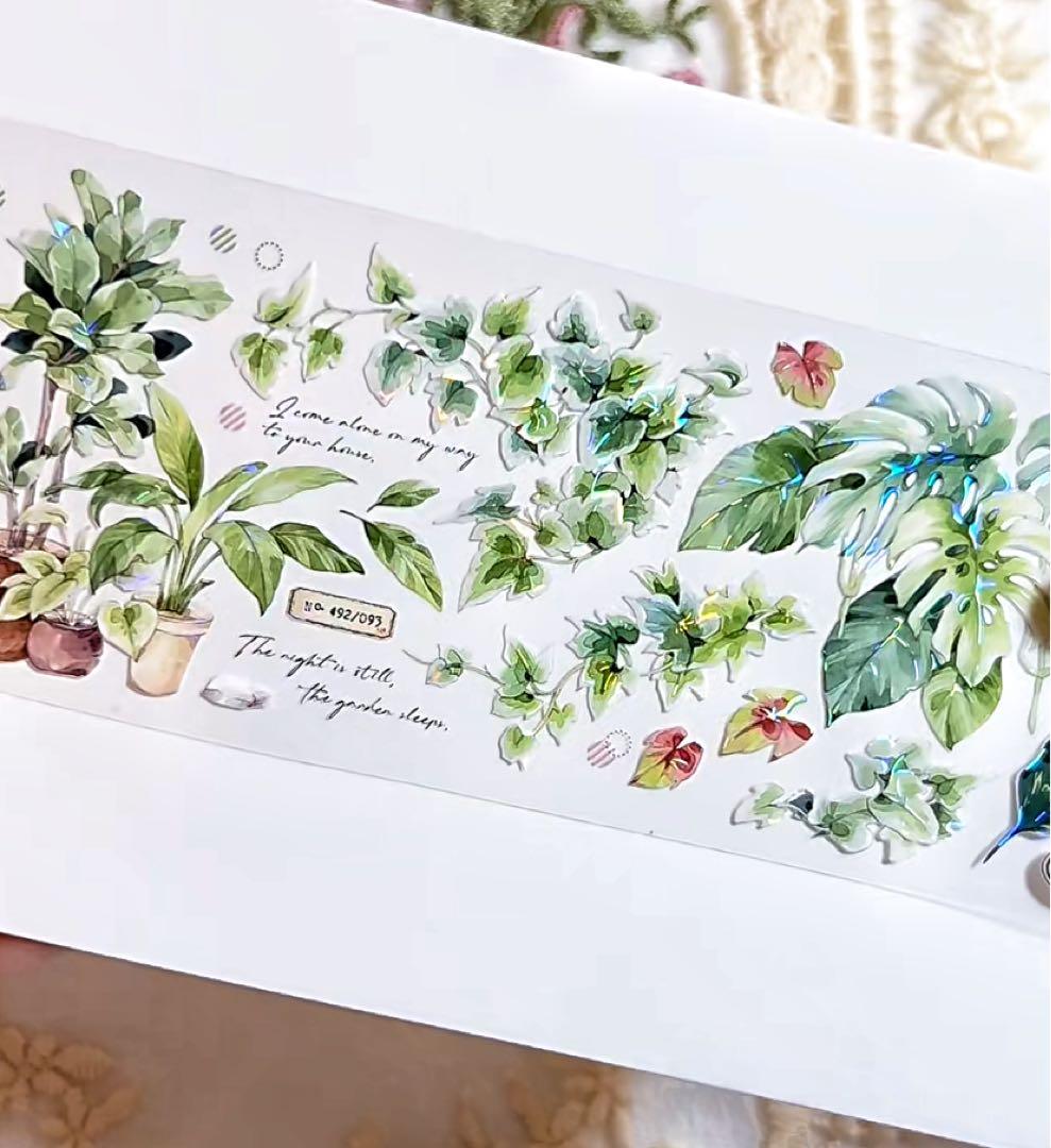 【9467】海外　マステ　3/5/巻　貝殻光マスキングテープ　植物　緑　装飾系