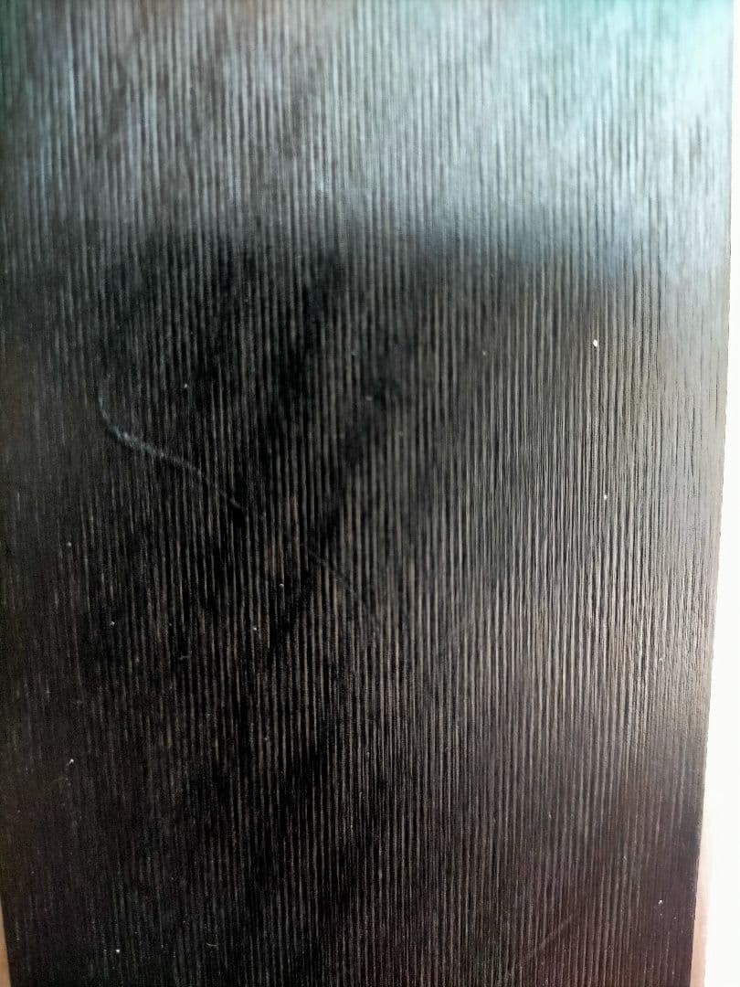 オガサカ OGASAKA TC-J 130 スキー板