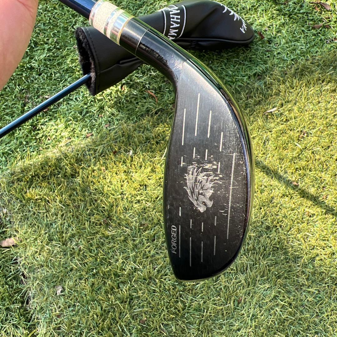 エミリッドバハマ　フェアウェイウッド