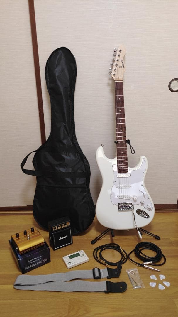 Selder エレキギター (10点セット)