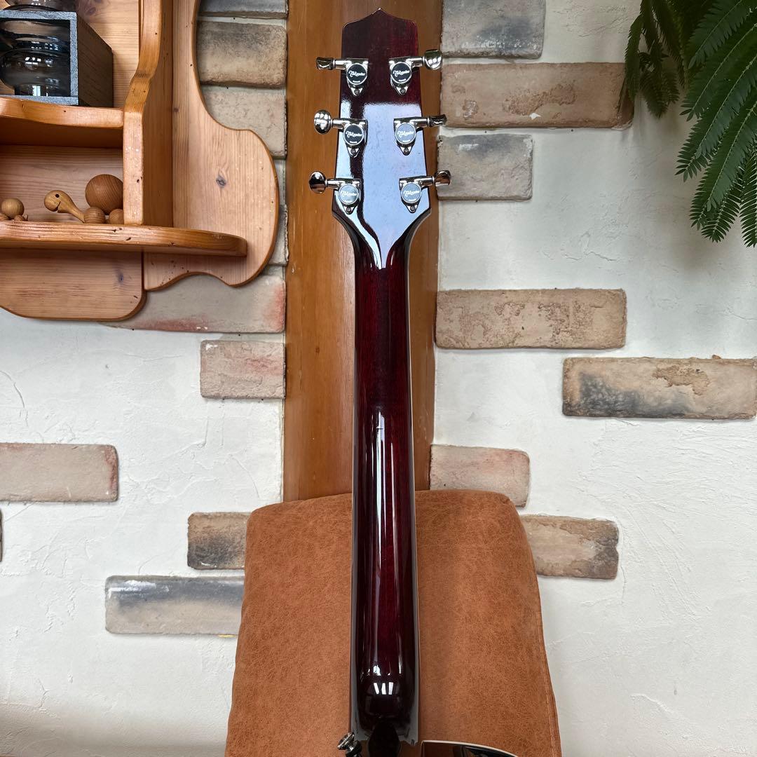 Takamine PTU121C FCB エレアコギター