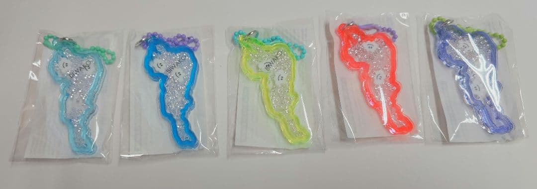 琵琶湖アクリルキーホルダー びわこバレイ 限定 ５色コンプリートセット