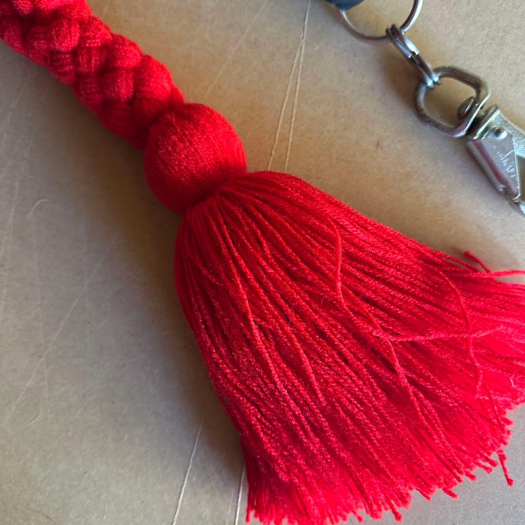 土佐犬　土佐闘犬　超大型犬　引き綱　赤