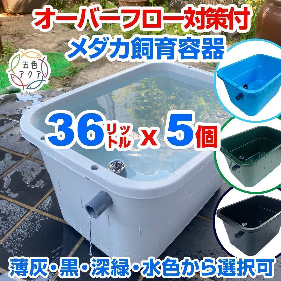 メダカ飼育ケース 36㍑x5個（4色あり） オーバーフロー付 金魚飼育容器 越冬